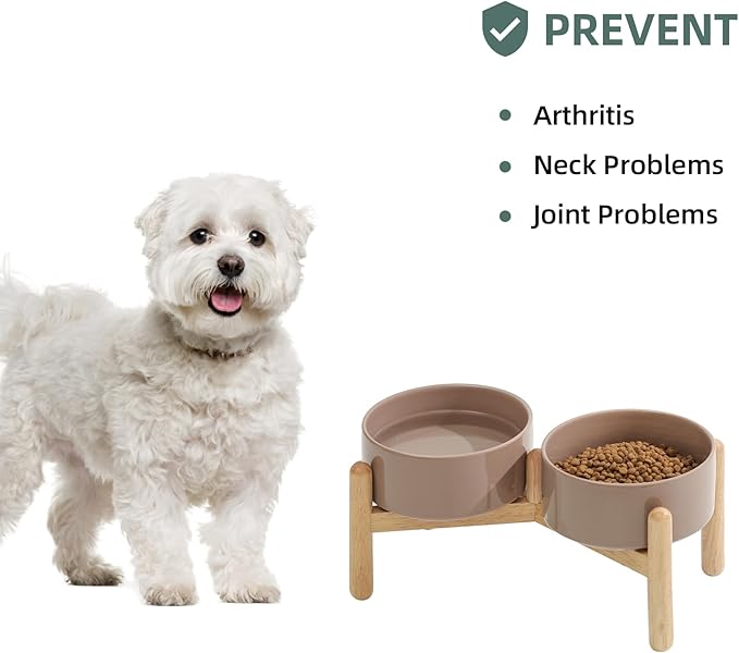 Havniva Ceramic 6.1inch Raised Dog Bowl with Stand for Small and Medium Breed Dog Dish Pet Food and Water Bowl (Double Bowl with Stand - Brown Coffee, 28oz)