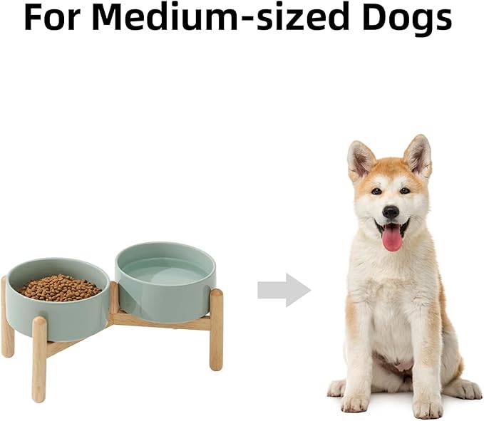 Havniva Ceramic 6.1inch Raised Dog Bowl with Stand for Small and Medium Breed Dog Dish Pet Food and Water Bowl (Double Bowl with Stand - Light Green, 28oz)