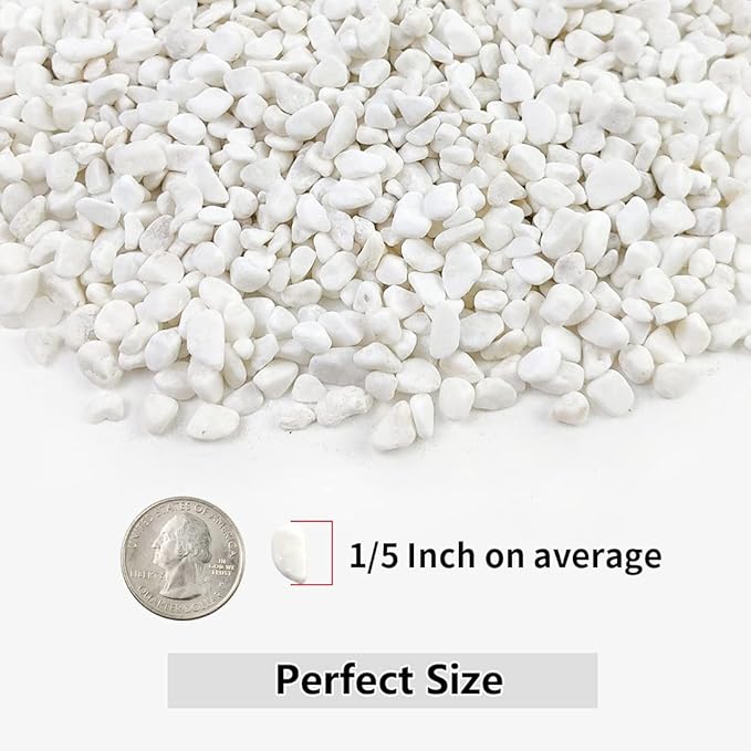 YISZM 5LB Succulent and Cactus Gravel Pebbles, 1/5 Inch White Natural Decorative Polished Stones, River Rocks for Plants, Vases, Aquariums, Terrarium and Outdoor Gardening