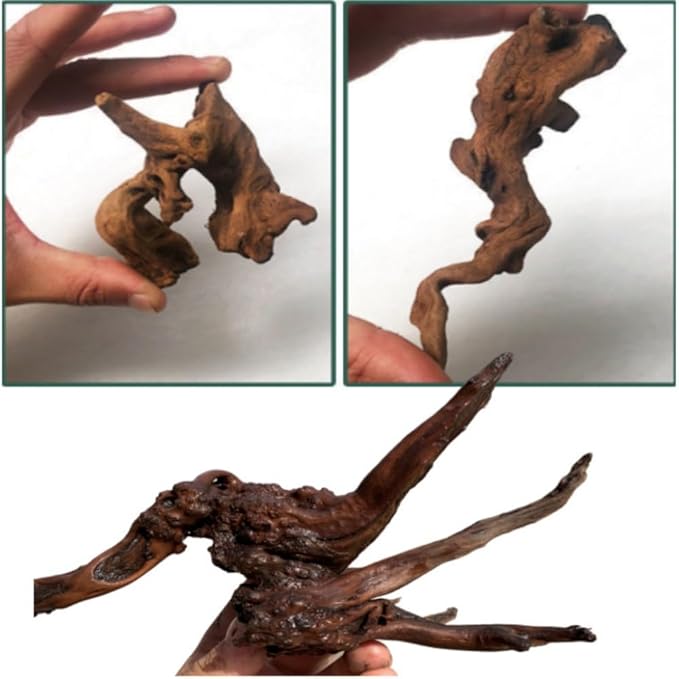 Natural Driftwood Tree Decoration for Aquarium, Fish Tank Plant Stump Ornament, Random Style(5-10cm)