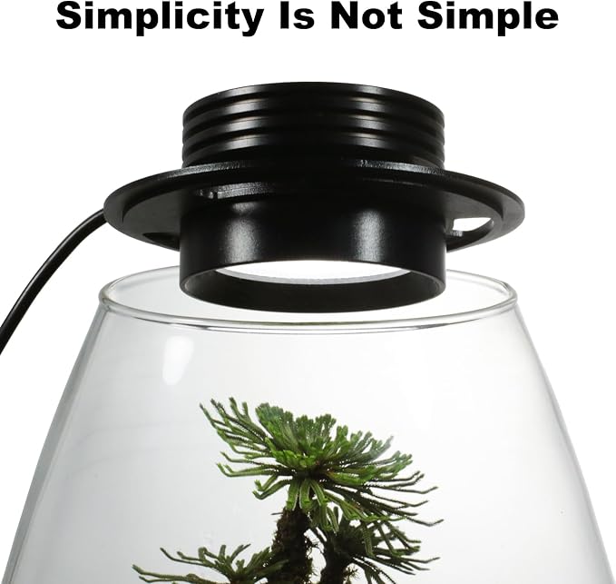 AREPK Glass Terrarium Plant Grow Light with Timer for Vases, 4-Inch Lamp | Auto On/Off Timer; Suitable for Glass Terrariums, Betta Fish Tanks, Succulents, Moss, Indoor Plants and Mini Landscapes
