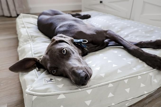 Molly Mutt Small Dog Bed Cover - Be Still - Measures 22"X27"X5"- 100% Cotton - Durable - Breathable - Sustainable - Machine Washable Dog Bed Cover