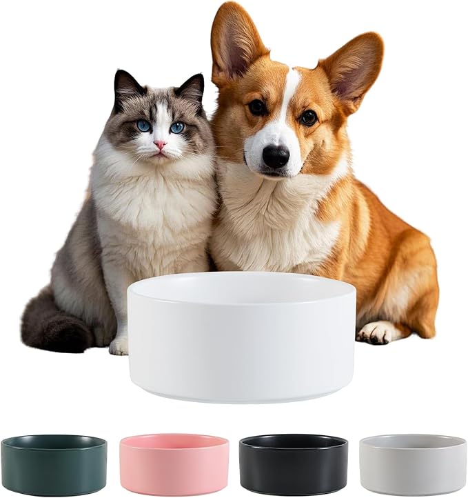 Ceramic Dog Bowl for Food and Water - Pet Feeder Bowl for Small to Medium Dogs and Large Cats - Heavy Ceramic Feeding Dish with Non Slip Base - Dishwasher & Microwave Safe - 6 Inch - 3.2 Cups - White