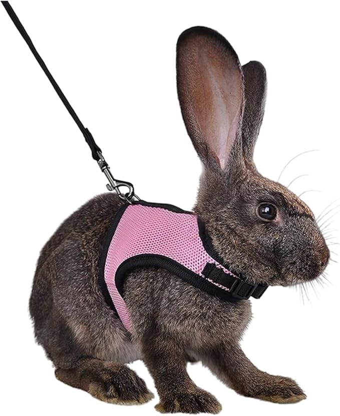 MANON ROSA Rabbit Harness and Leash Set - Adjustable Escape-Proof Training and Walking Gear for Guinea Pigs Bunnies Chinchillas Hamsters Ferrets Rats Kittens and Small Dogs Puppies Cats (Pink,M)