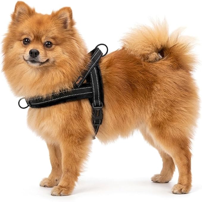 Didog Soft Flannel Padded Dog Vest Harness, No Pull/Quick Fit Reflective Dog Strap Harness, Easy for Training Walking (XXS:Chest 12-15", Black)