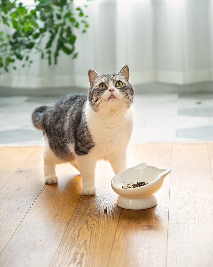 Raised Cat Food Bowl Ceramic 15° Tilted Cat Food Bowls Protect Cat's Spine Anti Vomiting Backflow Prevention for Adult, Kitten, and Small Dogs, White