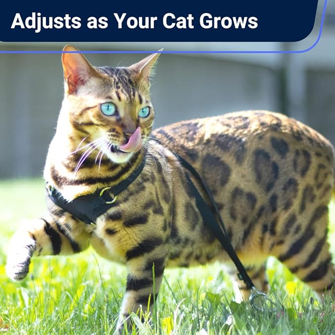 Houdini™ Escape Proof Cat Harness and Leash Set by OutdoorBengal for Walking Cats and Kittens (Vegan Leather, Kitten)