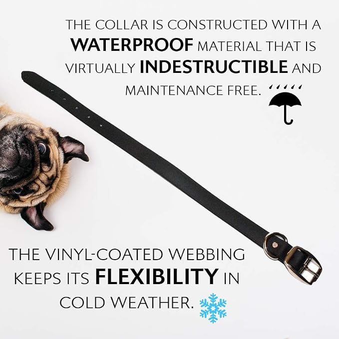 Regal Dog Products Large Black Waterproof Dog Collar and Leash Set | Heavy Duty Double Buckle & D Ring - 5'ft Leash | Adjustable Biothane Dog Collar | Chew Resistant Waterproof Collar for Dogs