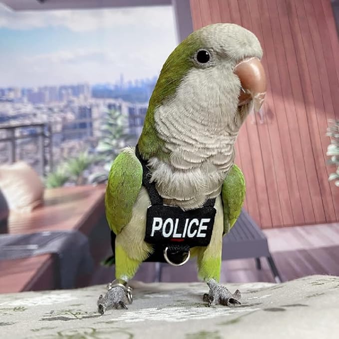 Bird Clothes Parrot Diapers Bird Flight Suits, Reusable Waterproof Diapers pet Bird Supplies (L)