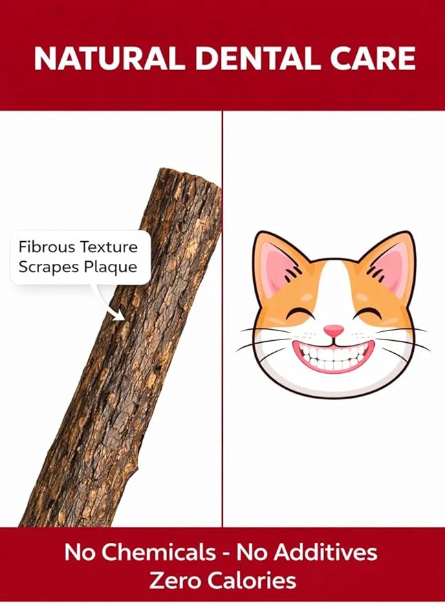 Cat Dental Teether Toy with Silvervine Chew Stick - Rubber Berry Holder with Catnip Oil Infused Matatabi Stick for Teeth Cleaning - Kitten Teething Toy for Indoor Cats (1 Teether + 1 Stick)