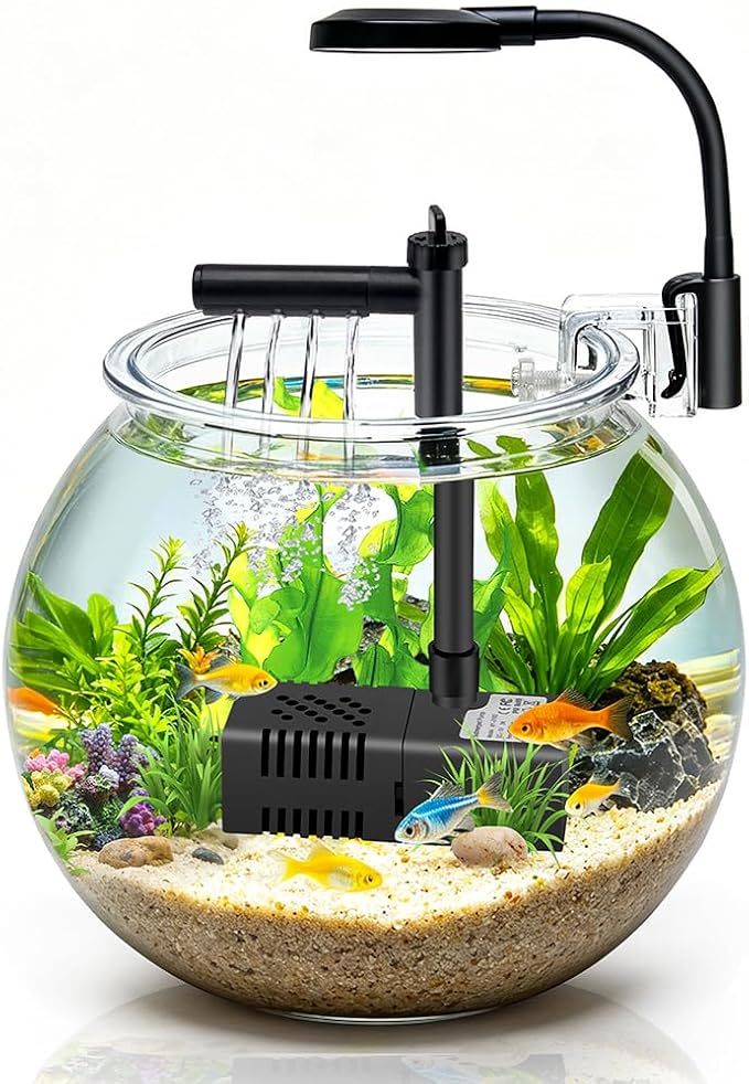 DaToo 1 Gallon Mini Fish Bowl Kit Impact-Resistant Plastic Aquarium Starter Kits with USB Filtration System and Lighting for Betta Fish Tank Goldfish Bowl Tabletop or Desktop Display