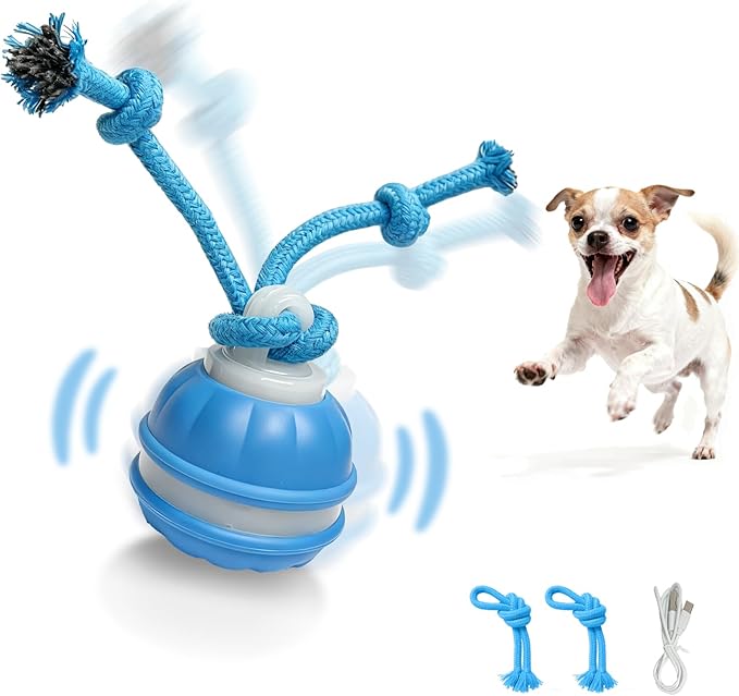 Interactive Dog Toys Dog Ball,Automatic Rolling and Bouncing Moving Dog Toy,Squeaky Rolling Balls with Flashing Light,USB Rechargeable Chew Toys for Puppy Small Dogs, Pet Ball to Keep Them Busy