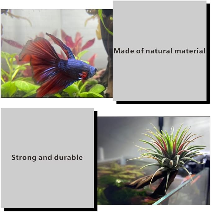 5 Pcs Aquarium Driftwoods Natural Driftwood Fish Tank Decorations Solid Reptile Wood Branches for Fish Tank Small Fish Hiding