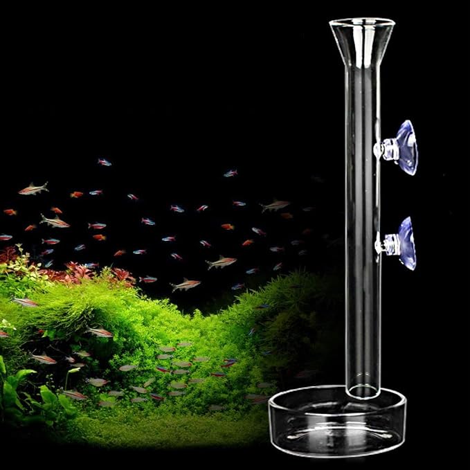 Shrimp Feeding Tube and Dish,Clear Crystal Glass Shrimp Feeder Tube Tray for Fish Tank Aquarium Shrimp
