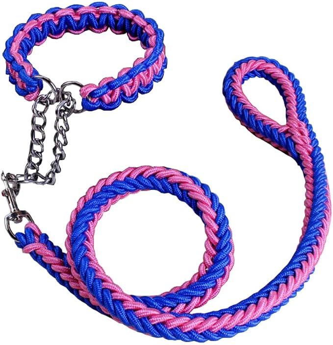 Love Dream Dog Collar and Leash Set, Heavy Duty Nylon Braided Rope Strong 4 FT Dog Leash and Martingale Training Collar for Small Medium Large Dogs Training and Walking (Blue & Pink)