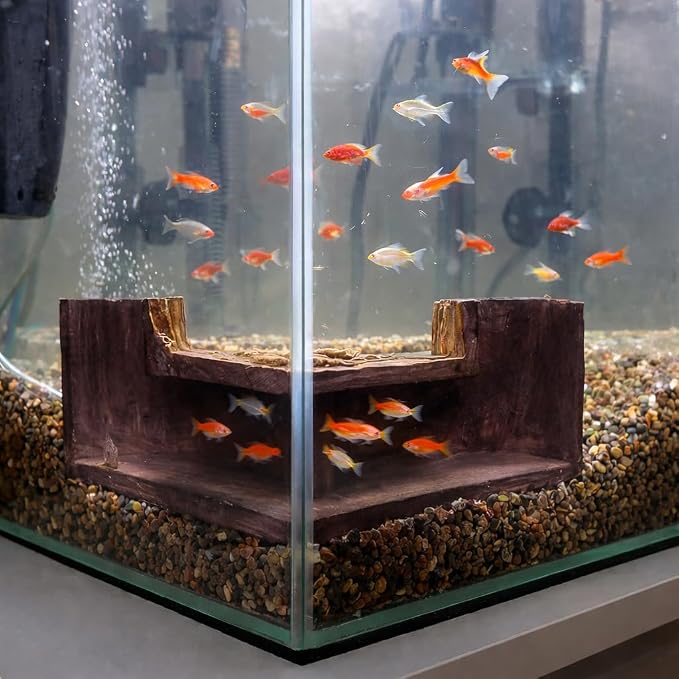 Corner Fish Cave Viewing Tunnel, Realistic Driftwood Stump Hideout for Betta, Shrimp, Corydoras – BPA-Free Aquarium Safe Resin Decoration (5.1”x5.1”x2.8”)