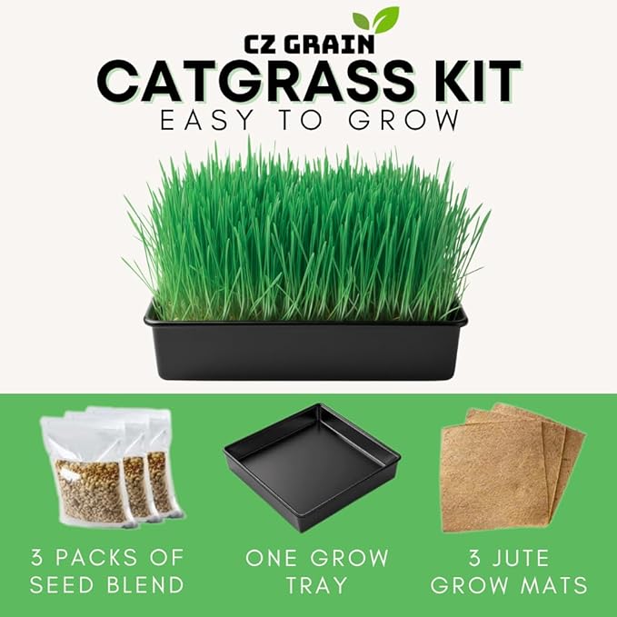 Cat Grass Growing Kit - Cat Lover Holiday Gift - Organic Seed, Jute Grow Mats, No Tools Needed - 10 x 10 Grow Container - Great for Indoor or Outdoor Pets - Complete Set - White Elephant