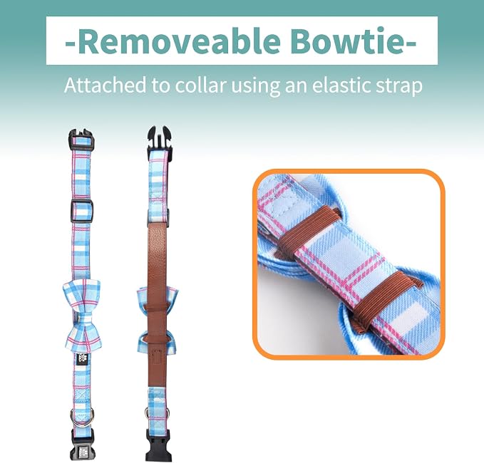 IVY&LANE Dog Collar with Bowtie and Leash Set | Plaid Adjustable Dog Collar | Detachable Bow Tie |5 FT Dog Leash | for Small Medium Large Dogs | Checkered Blue | Medium