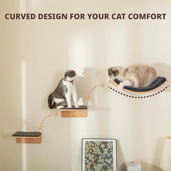LIORCE Cat Wall Shelf with Two Steps - Curved Cat Shelves and Perches for Wall (Large Size) - Wall Mounted Cats Furniture for Sleeping, Playing, Climbing, and Lounging