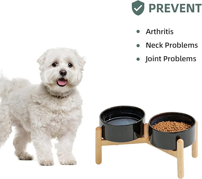 Havniva Ceramic 6.1inch Raised Dog Bowl with Stand for Small and Medium Breed Dog Dish Pet Food and Water Bowl (Double Bowl with Stand - Starry Sky, 28oz)