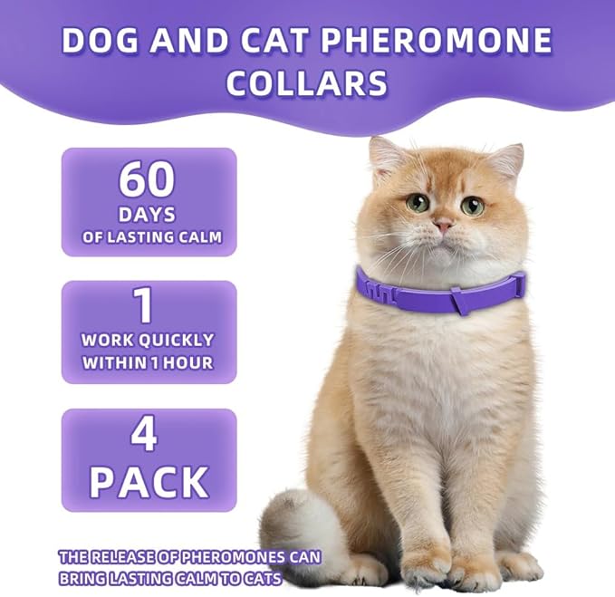 Calming Pheromone Collar for Cats, 4-Pack, Adjustable, Long-Lasting 60-Day Stress & Anxiety Relief, Noise Reduces & Anxiety Separation, Purple