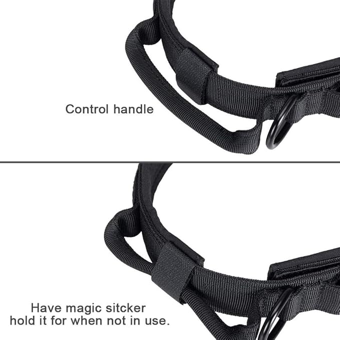 Xqpetlihai Tactical Dog Collar and Leash Set Adjustable Military Nylon Dog Collar with Control Handle and Heavy Duty Metal Buckle for Large Dogs（Black M