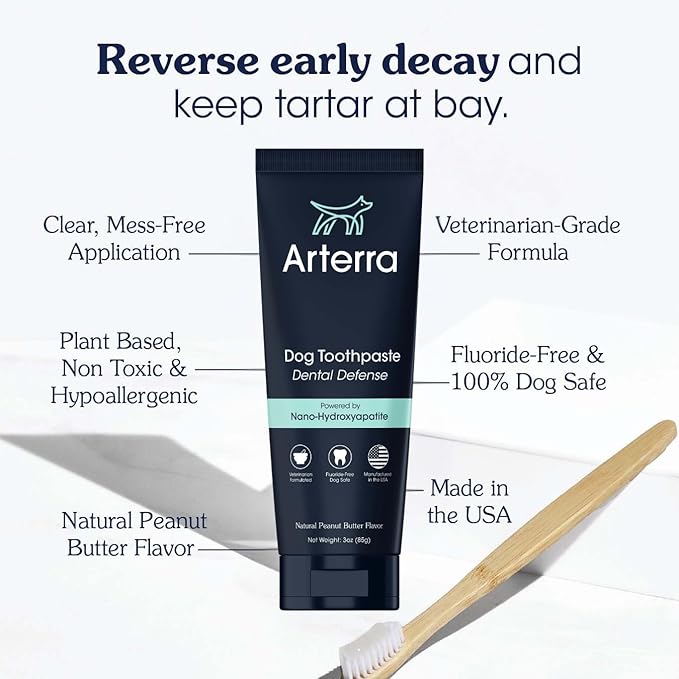 Remineralizing Dog Toothpaste – Vet-Grade, with Nano-Hydroxyapatite, Reverses Early-Stage Decay, Cleans Teeth, Removes Tartar, Freshens Breath by Arterra Pet Science, Plant-Based, Natural Flavor, 4oz