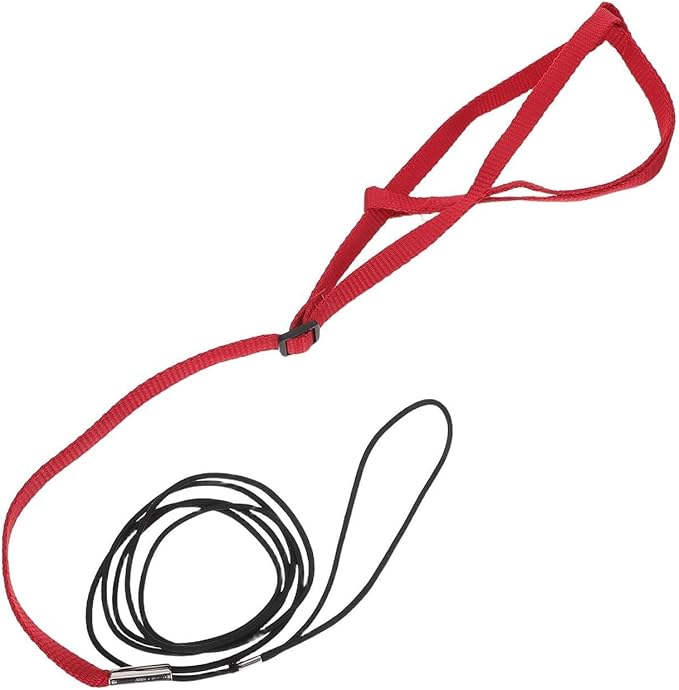 Bird Flight Harness Leash: Adjustable Parrot Flying Rope - Escape-Proof Harness for Pet Birds - Outdoor Training Strap for Parakeets and Small Parrots