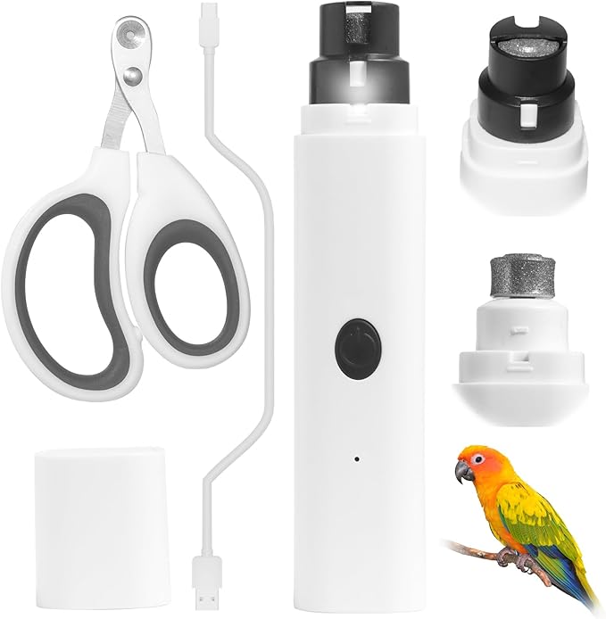 LED Pet Bird Nail Grinder 2 Pcs Set, Electric Beak File Tool for Budgerigars, Parakeets, Conure, Lovebirds