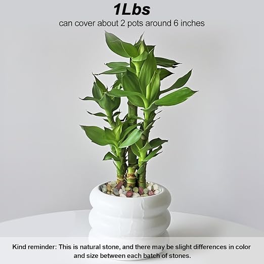 Landscaping Pebbles, River Rocks, Decorative Garden Stones | Garden Gravel Filler For Home Decoration, Flower Bed, Fish Tank, Plants, Indoor And Outdoor Landscaping