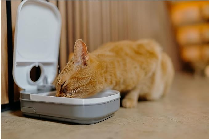CAT Mate C100 Automatic Dog and CAT Feeder