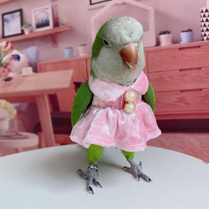 Bird Costume Bird Diaper Flight Suit Parrot Velvet Fleece Skirt Clothes Cosplay Photo Prop for Conure Lovebird Parakeet Cockatiel Macaw Small Animals Apparel (Pink,Small)