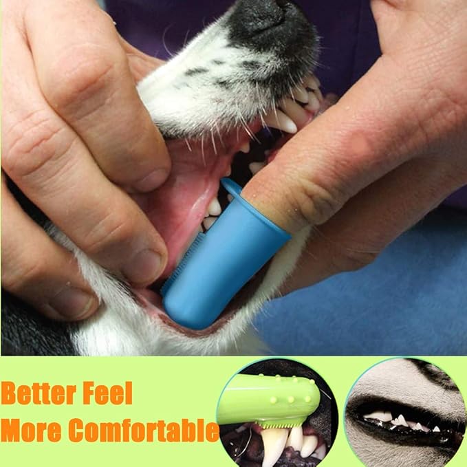 10 Pack Pet Dog Toothbrush, 2 Triple Head Pet Toothbrushes 3 Double Head Tooth Brush 5 Pack Finger Rubber Toothbrushes, Multi-Angle Dental Cleaning Brushes for Dog Cat Oral Dental Health