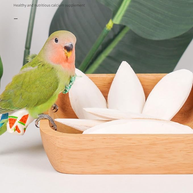 Natural Cuttlebone for Birds Parakeets Canaries Cockatiels Small Conures Mynahs Toucans African Greys All Parrots Snails Totoise, with Holder for Bird Cage (4-5 inch,2PCS)