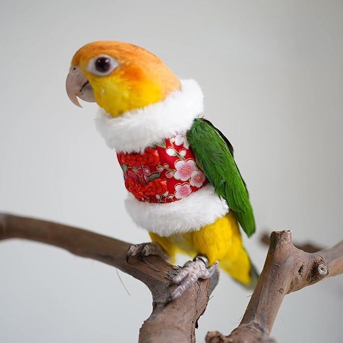 Bird Costume Bird Flight Suit Bird Clothes Cosplay Photo Prop for Parrots Parakeet Cockatiel Sun Conure, Bird Hoodie Small Animals Apparel (Red, Medium)