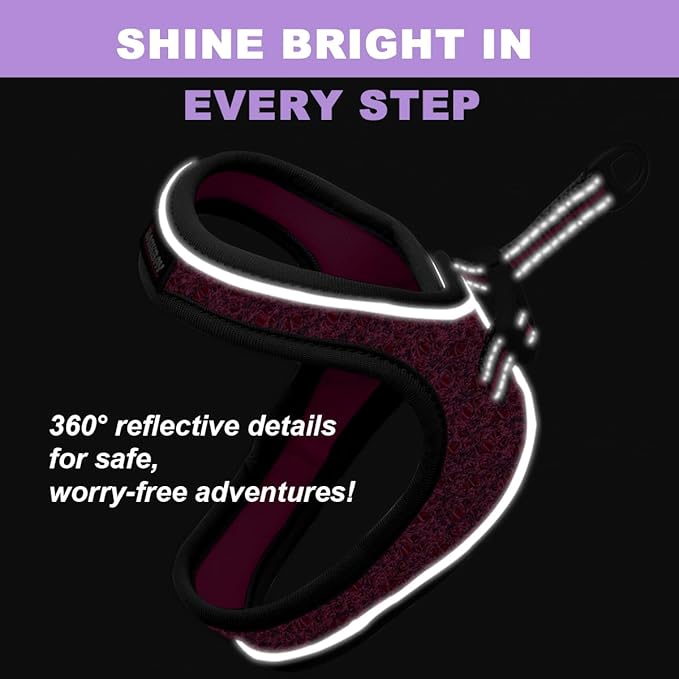 Cat Harness and Leash Set,Escape Proof Kitten Harness,Step in Adjustable Soft Lightweight,Easy Control,Reflective Strips Comfortable for Walking Travel(Pink/Black,XXXS)