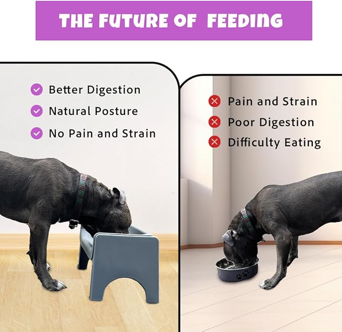 Fluff Trough 7.25 Inch Tall Elevated Bowls for Medium & Small Dogs - Stainless Steel Raised Bowl With Stand Holds 2 Cups of Pet Food - Vet Recommended, Dishwasher Safe Feeder Station