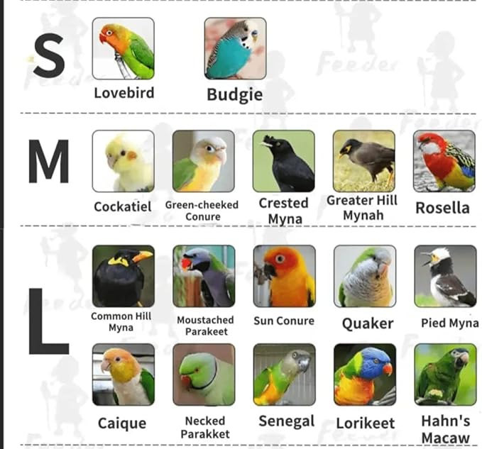 Bird Flight Suits Diapers, Parrot Flight Suits Diapers for Monk Parakeets, Cockatiels Flight Suits, Parrot Clothes, Bird Training Nappy Suit Liners Clothes (Medium,Navy)