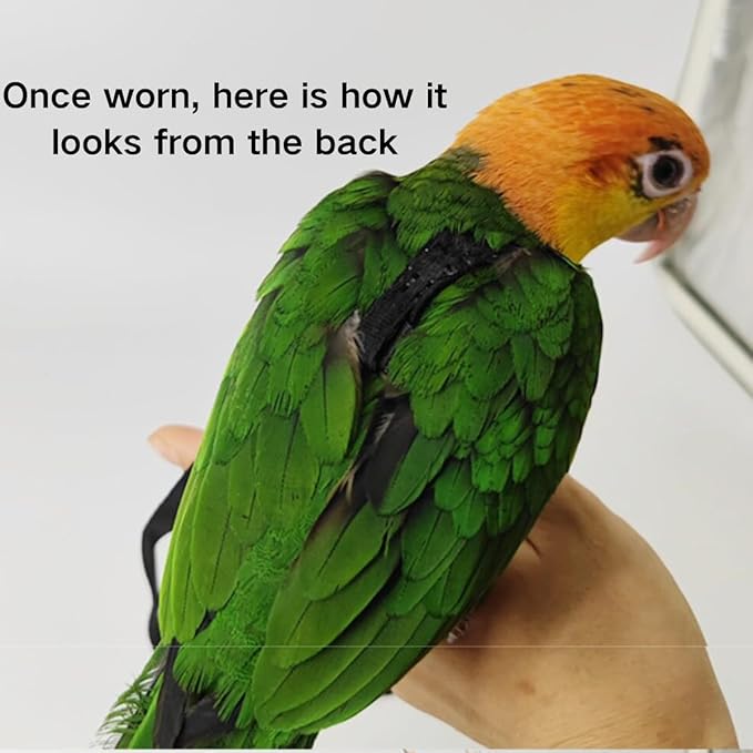 Adjustable Bird Harness and Leash for Parrots Outdoor Flight Training Anti-Bite Light Weight Easy-to-Wear Bird Vest with 59 Inch Elastic Leash for Quaker Conure African Grey Macaw Cockatoo (XL)