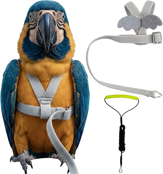 Adjustable Bird Harness with Elastic Leash, Pet Parrot Harness and Leash, Adjustable Training Design Anti-Bite, Bird Nylon Rope with Cute Wing for Conure (Grey,Macaw)