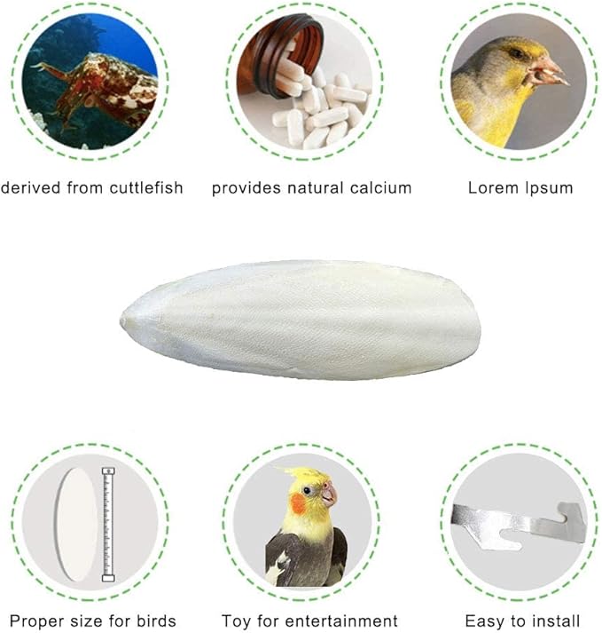 Natural Cuttlebone for Birds Parakeets Canaries Cockatiels Small Conures Mynahs Toucans African Greys All Parrots Snails Totoise, with Holder for Bird Cage (6-6.5 inch,2PCS)