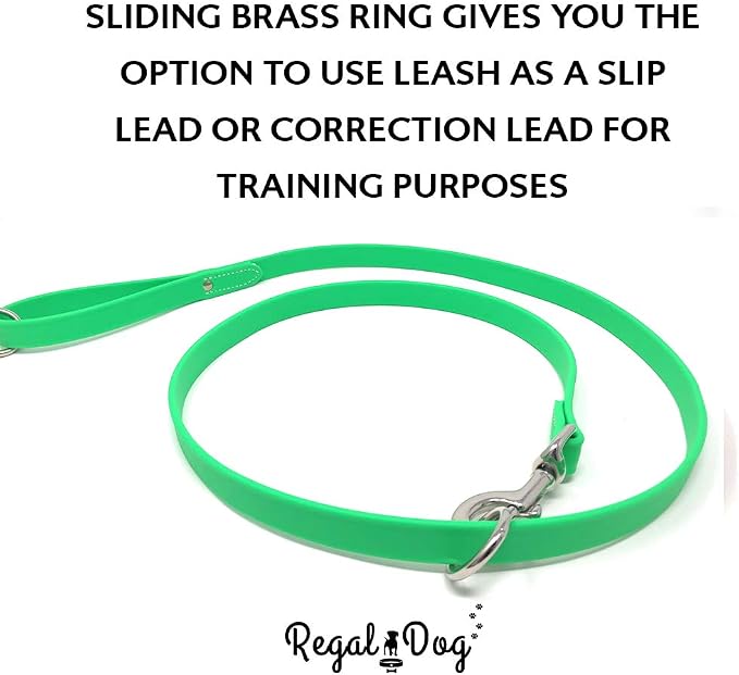 Regal Dog Products Small Light Green Waterproof Dog Collar and Leash Set | Heavy Duty Double Buckle & D Ring - 5'ft Leash | Adjustable Biothane Dog Collar | Chew Resistant Waterproof Collar for Dogs