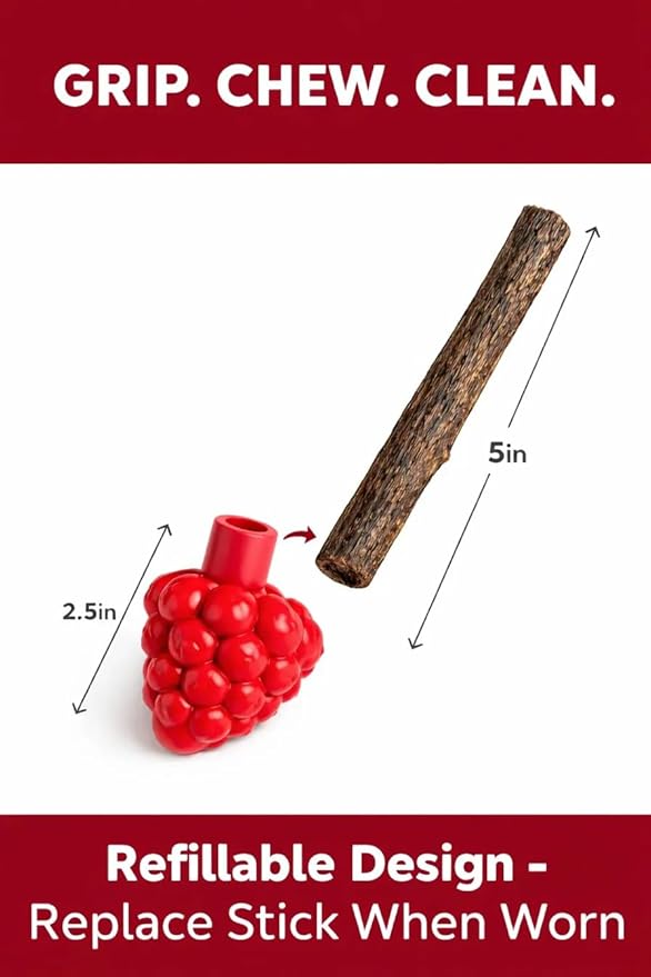 Cat Dental Teether Toy with Silvervine Chew Stick - Rubber Berry Holder with Catnip Oil Infused Matatabi Stick for Teeth Cleaning - Kitten Teething Toy for Indoor Cats (1 Teether + 1 Stick)