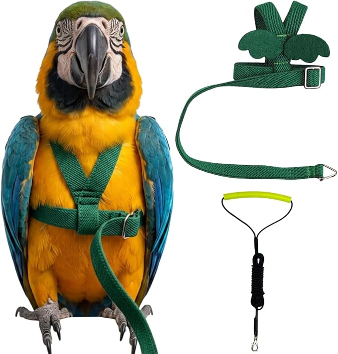 Adjustable Bird Harness with Elastic Leash, Pet Parrot Harness and Leash, Adjustable Training Design Anti-Bite, Bird Nylon Rope with Cute Wing for Conure (Deep Green,Macaw)