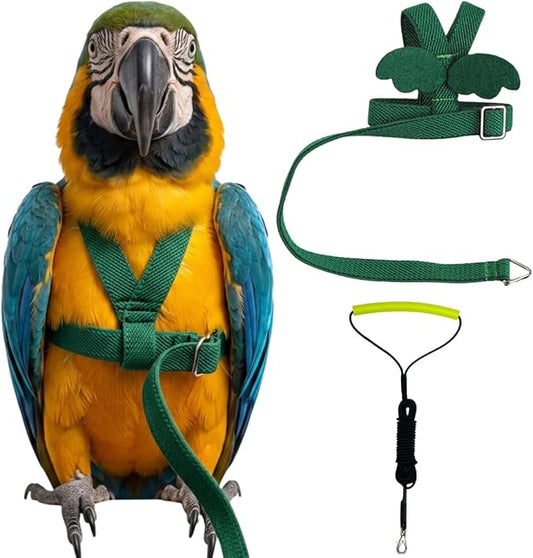 Adjustable Bird Harness with Elastic Leash, Pet Parrot Harness and Leash, Adjustable Training Design Anti-Bite, Bird Nylon Rope with Cute Wing for Conure (Deep Green,Macaw)