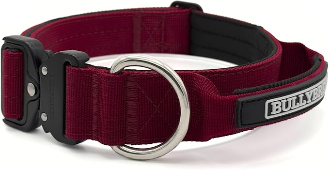 Heavy Duty Dog Collar, Tactical Dog Collar, Dog Collars for Medium Dogs, Waterproof Dog Collar, Dog Training Collar, Quick-Release Metal Buckle, Adjustable Sizes – BULLYBREED (Maroon Red, Medium)