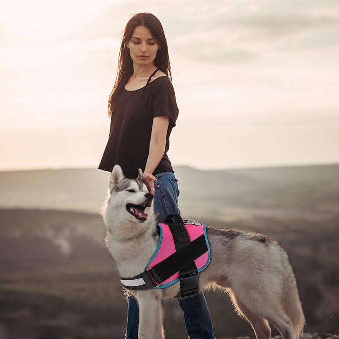 Bolux Dog Harness, No-Pull Reflective Dog Vest, Breathable Adjustable Pet Harness with Handle for Outdoor Walking - No More Pulling, Tugging or Choking X-Large (Pack of 1) RoseTurquoise