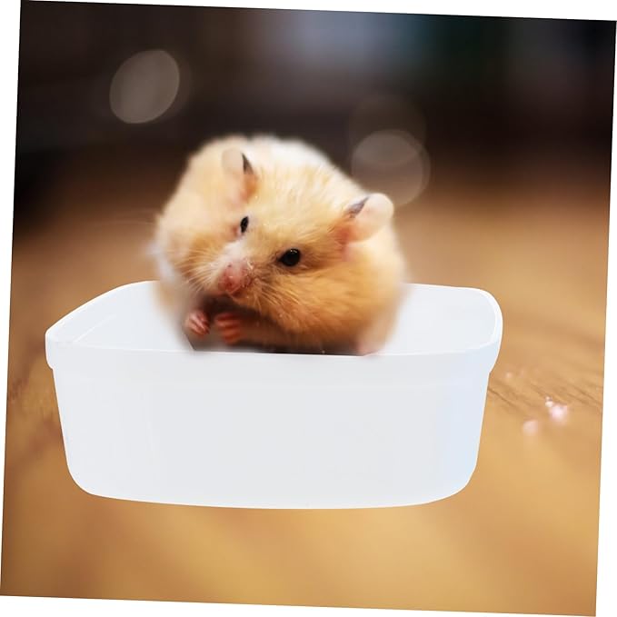 UPKOCH 2pcs Hamster Bath Container Automatic Dust Bath Box for Animals Practical Plastic Bathtub Smooth Edges for Hamsters and Chinchillas