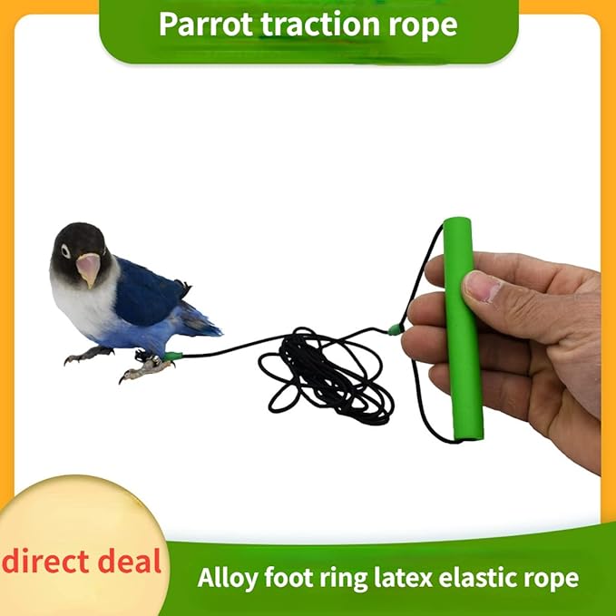 Bird Foot Chain with Flying Latex Elastic Training Rope Outdoor Parrot Ankle Foot Ring Accessories Bird Harness Leash Prevent Escaping (Model6-With 236inch Leash)