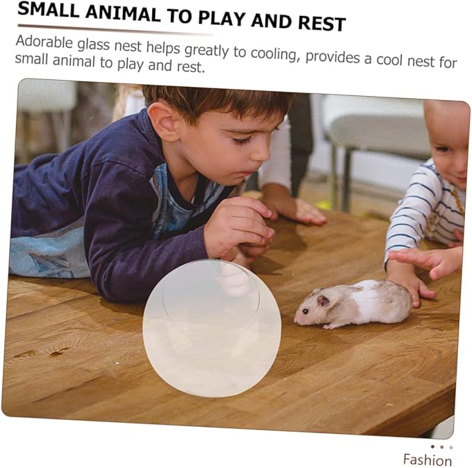 INOOMP Glass Nest for Hamster Chinchilla Small Animal Dust Bath Container Guinea Pig Hideout Pet Cooling Hut